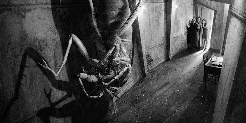 Metamorfosi di Franz Kafka